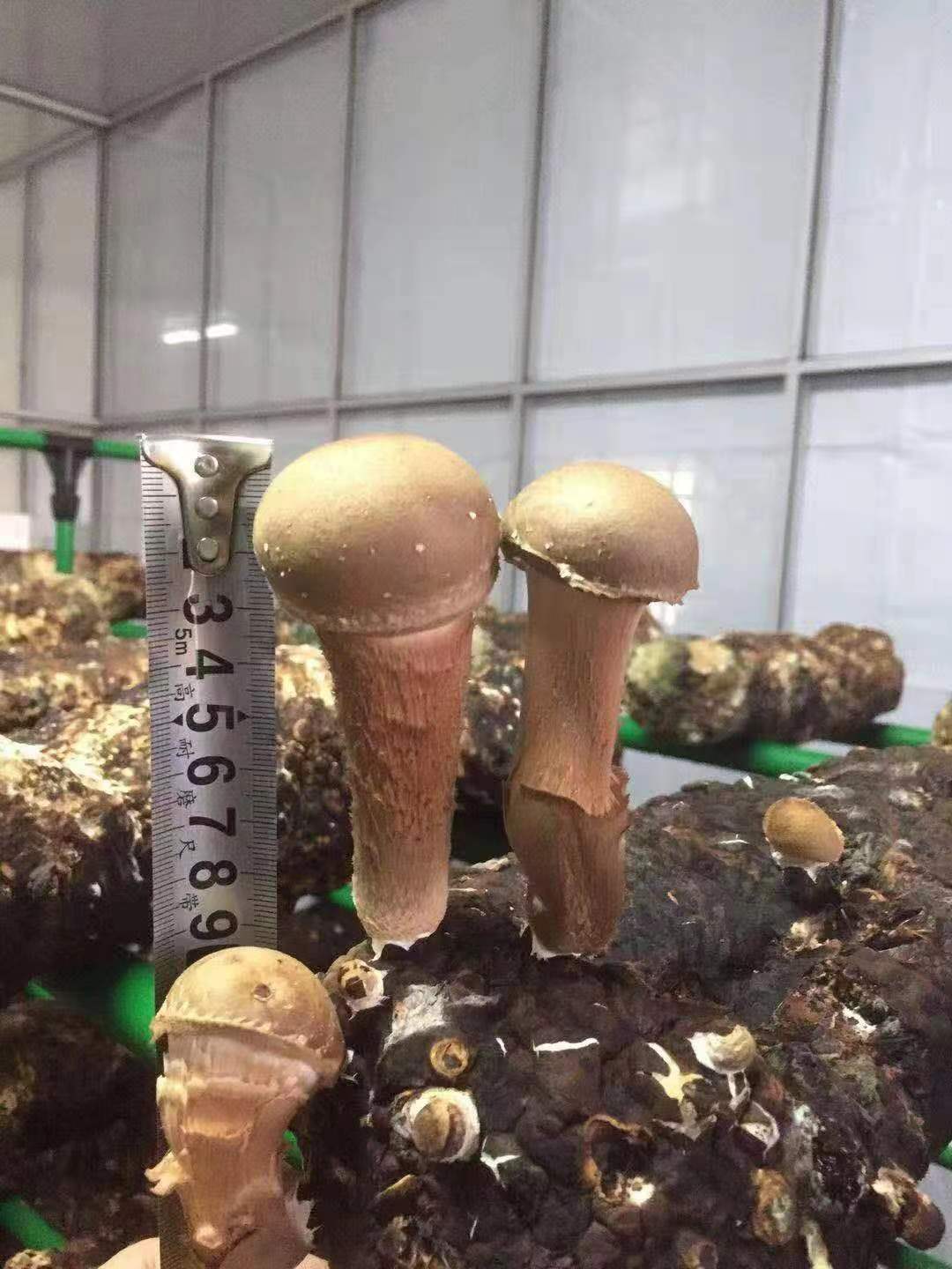 微(wēi)信圖片_20240604140642